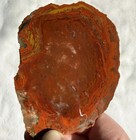 UTAH YELLOW CAT AGATE SLAB ~ 127 grams / rough jasper mineral rock cab — photo 7
