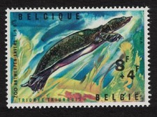 Soft-shelled Turtle Reptiles of Antwerp Zoo Belgium 1965 MNH SG#MS1947 MI#1405