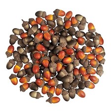 120 PCS Fake Acorns with Natural Caps - Fall Decor for DIY Crafts  Vases