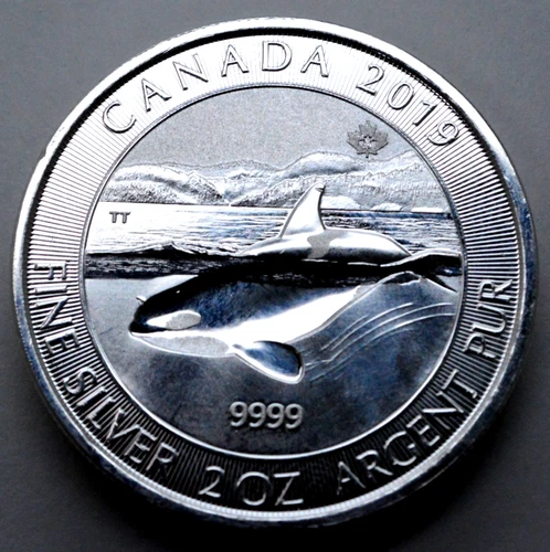 2019 Orca Whale 2 OZ 9999 SILVER ROUND $10 DOLLAR CANADA COIN RARE! No Reserve $