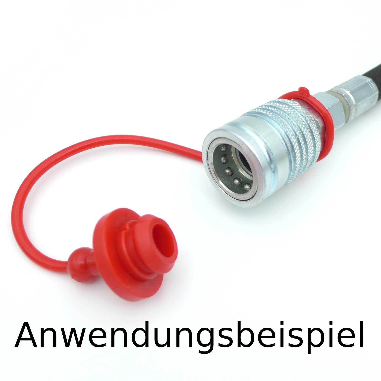 Bild 8 von 8