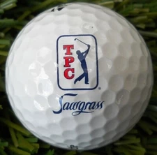 1 Dozen Taylor Made TP5 (PGA Sawgrass LOGO) Perfect Quality Golf Balls