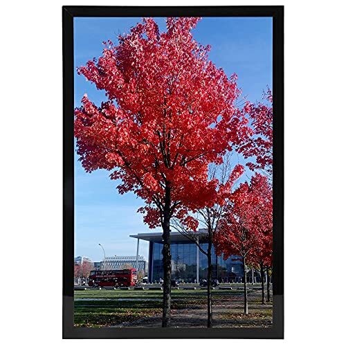 10x12 11x14 11x17 Bilderrahmen Passepartout Schwarz Display Posterrahmen Wandmontage - Bild 1 von 9