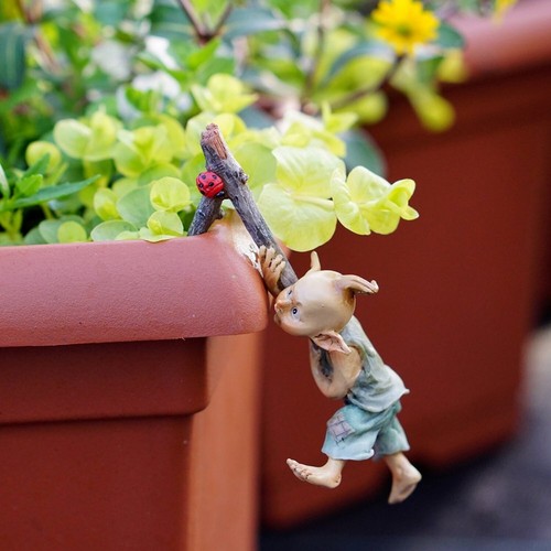 Top Collection 4383 Miniature Fairy & Terrarium Garden Pixie Flower Pot Hugge... - 第 2/3 張圖片
