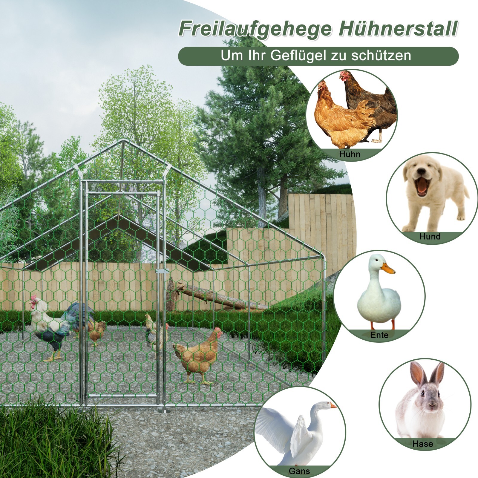 Bild 6 von 8