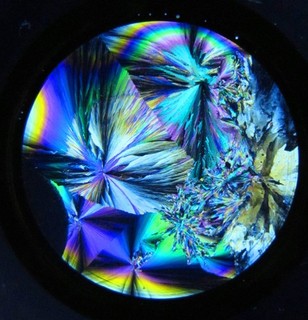 Antique microscope slide. "Crystals of Coumarin". Polariscope.