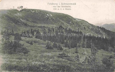 Feldberg 1450m Black Forest BW Black Forest North Side Mountain Fir Hotel Meadow Summit