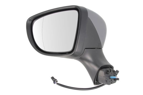 Left BLIC 5402-09-2002127P Exterior Mirror for RENAULT
