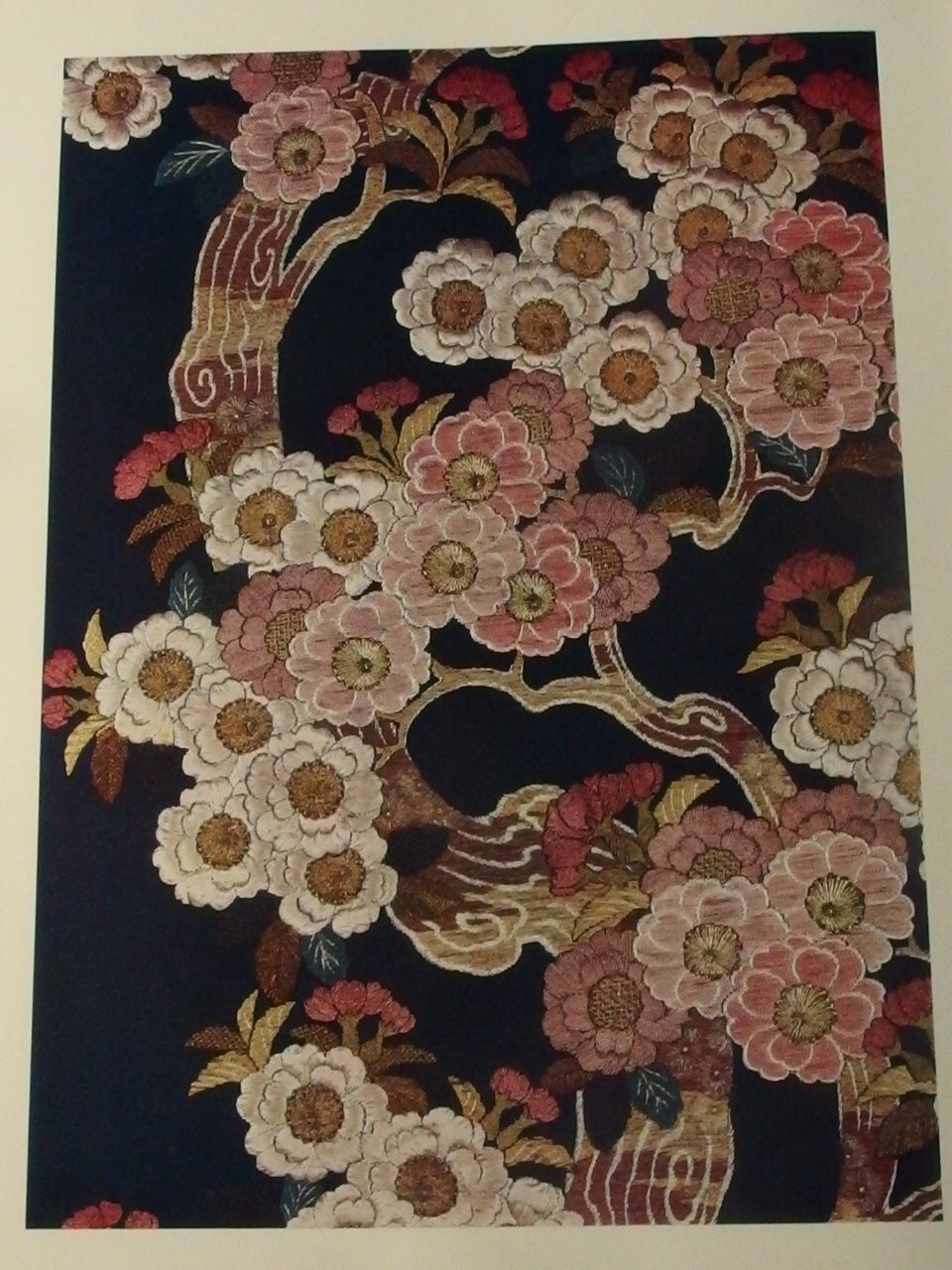 Picture 16 of 23