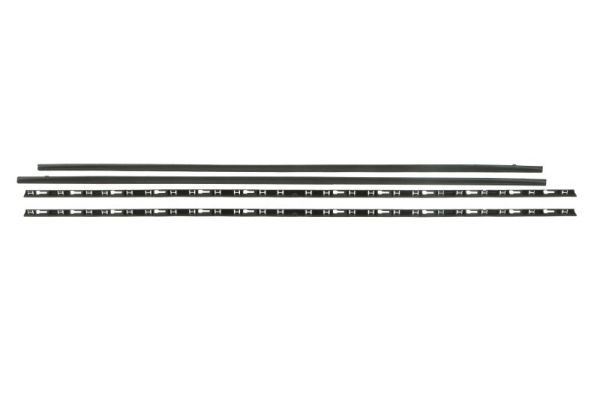 both sides BLIC 5703-06-9550570P Entry threshold for VW