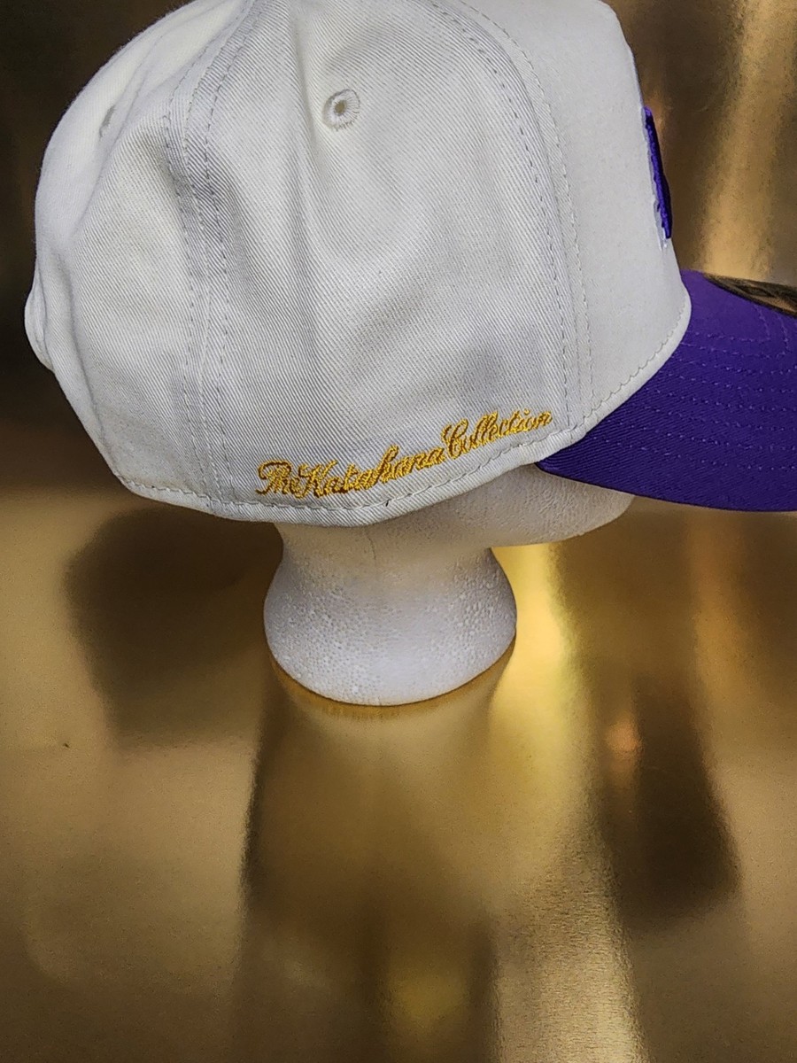 かつラー Wright ZXL 61″ Zero Turn Mower – WZXL61SFX8201B – DeWinne Equipment Co