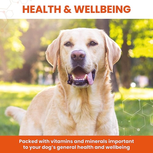 Vetzyme Once A Day Conditioning Tablets for Dogs, with B Complex Select Count - Picture 23 of 39