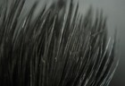 Bild 10 von 10