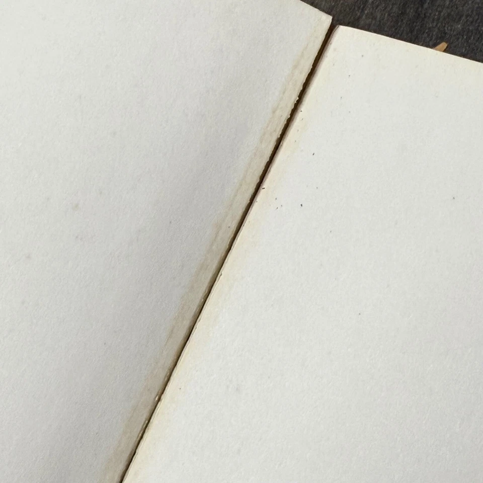 Libro de hilar y tejer con lana Paula Simmons fibra artesanía actualizado Foto 3 de 4