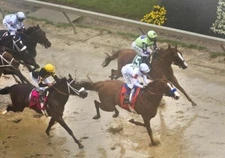 JUSTIFY 2018 PREAKNESS STAKES WINNER 8X10 GLOSSY PHOTO PICTURE IMAGE #3