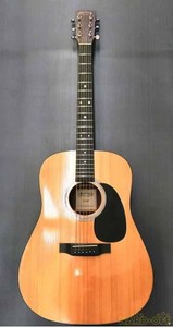 martin d1gt