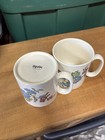 Spode England Sylvan by SPODE Coffee Cup Mugs Set of Two Clean — photo 6