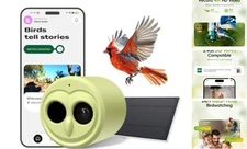 Hibird 4K HD Smart Bird Feeder Camera Solar Powered, 2.4G/5G Dual WiFi 