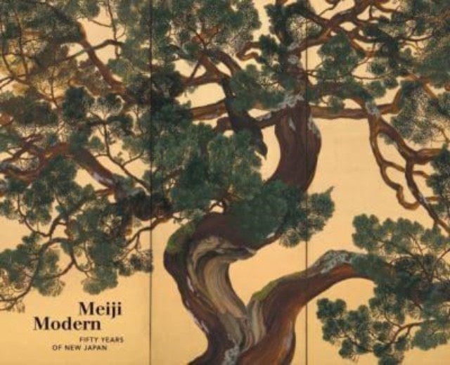 Meiji Modern Fifty Years of New Japan by Bradley M. Bailey (Hardback Book)