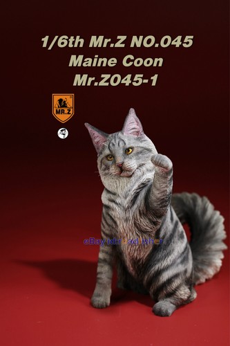 Mr.Z 1/6 Maine Coon Gato Mascota Figura Gatito Felidae Animal Modelo Juguete Decoración Pintado - Imagen 7 de 29