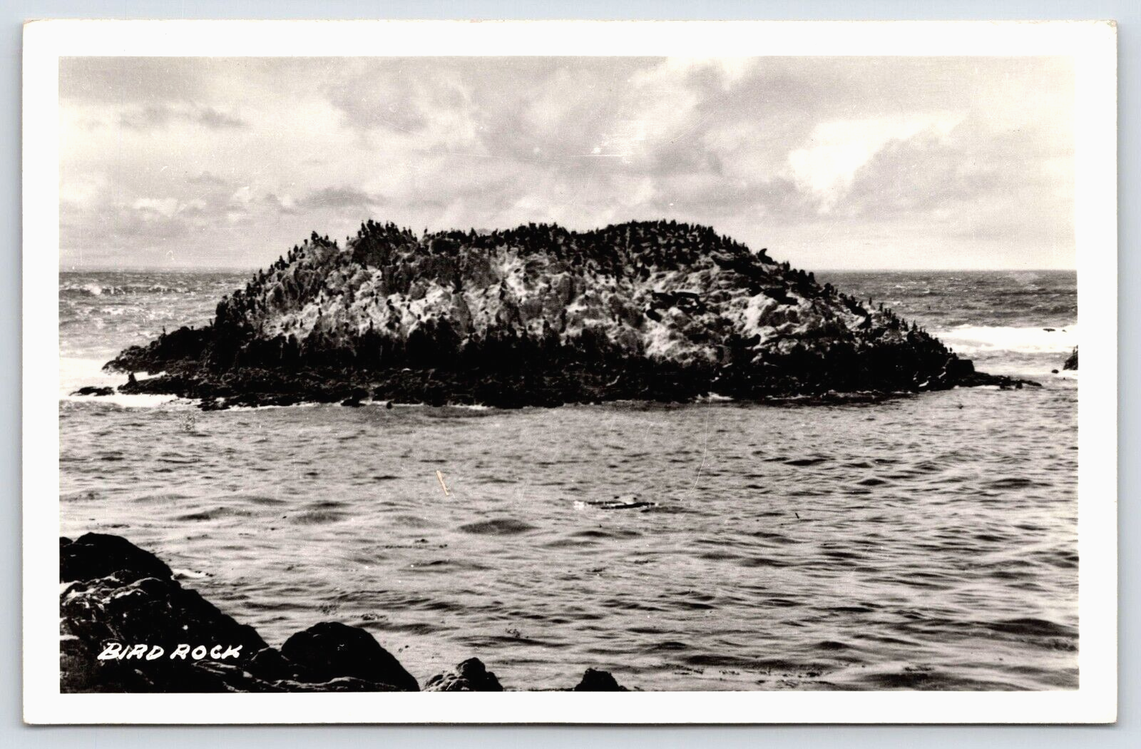 Original Old Vintage Antique Outdoor Postcard Bird Rock Carmel, California USA