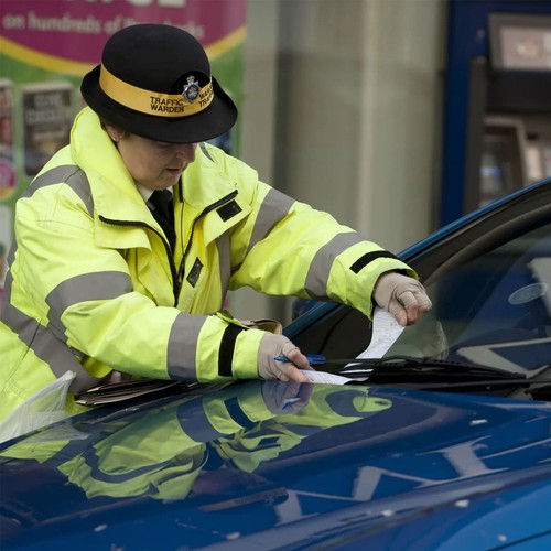 JOKE Super Realistic Novelty Parking Tickets - for the ultimate Pranksters - Picture 31 of 71