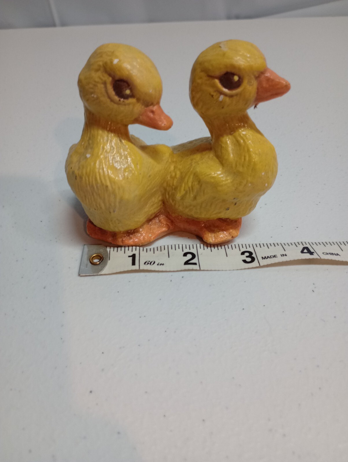 Picture 5 of 5