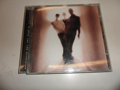 Cd  So Much for the Afterglow von Everclear