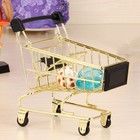 Kids Shopping Cart Metal Trolley Storage Basket Baby Baskets for Mini