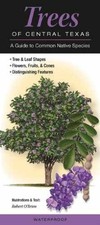 Trees of Central Texas: A Guide to Common - Pamphlet, by Robert O&rsquo;Brien - Good