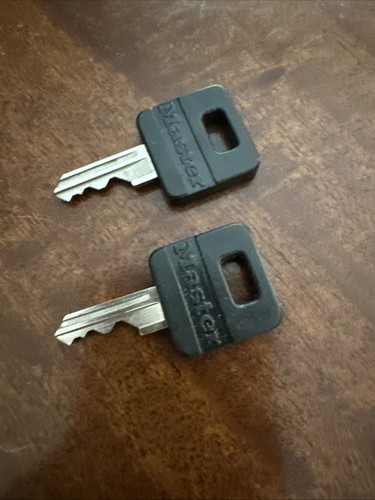 MASTER LOCK STRAPAZIERFÄHIGES WETTERFESTES KÖRPER-VORHÄNGESCHLOSS mit 2 SCHLÜSSELN - Bild 5 von 9
