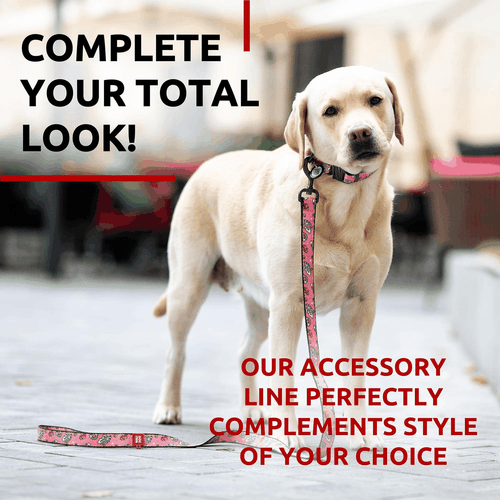 Nylon Dog Leash for Small Dogs and Medium Dogs 4 Ft Strong Dog Leash for - Picture 6 of 6
