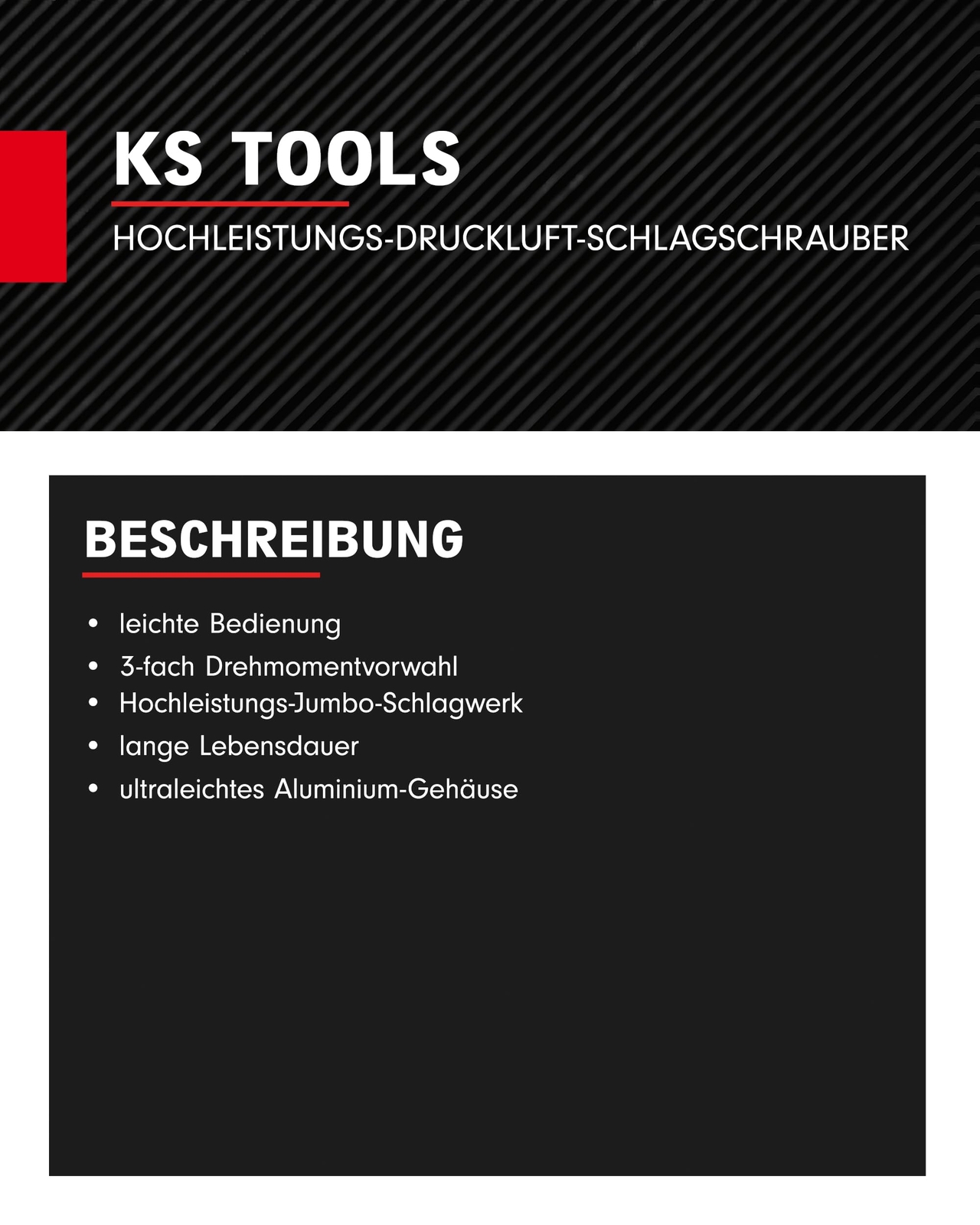 Bild 5 von 6