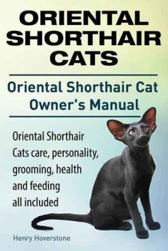 Oriental Shorthair Cats. Oriental Shorthair Cat Owners Manual. Oriental