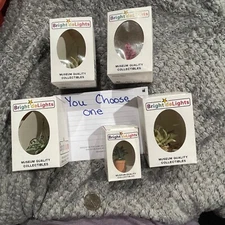 House Plant Bright deLights Dollhouse Miniature Museum Quality Select 1 pc