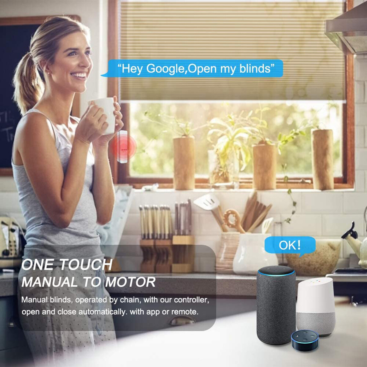 ok google motor remote