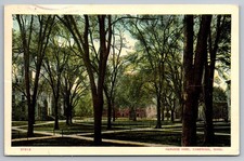 Harvard Yard with Tree-Lined Paths, 1911 Cambridge, Massachusetts, Postcard