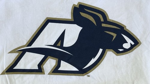 NWT Vintage New Agenda by Perrin Akron Zips T Shirt - Picture 5 of 5