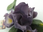 Bild 9 von 17