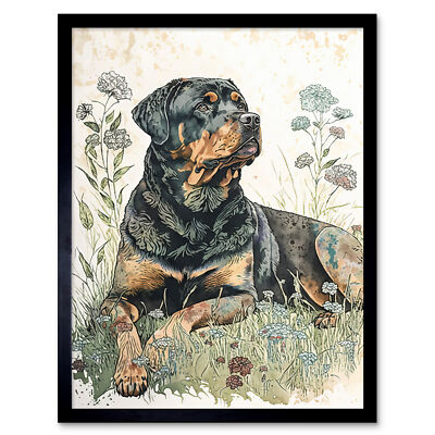 Rottweiler Dog Wildflowers Watercolour Framed Wall Art Picture Print 12x16