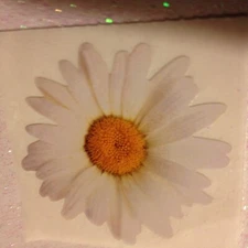 1 SQUARE PAPER HOUSE DAISY FLOWER STICKER RARE VINTAGE NEW 1 PC