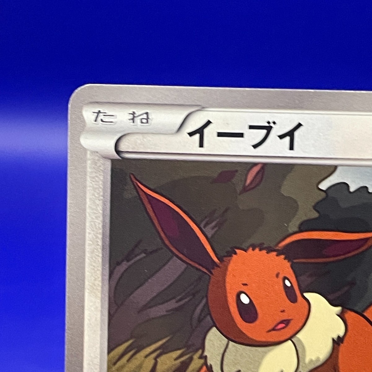 オ*ジ様 激レア！ Kaijinart Somethingmon イーブイ EV Eevee 010/018 Pokemon Card TCG Nintendo Japan BKZ Zekrom EX Battle
