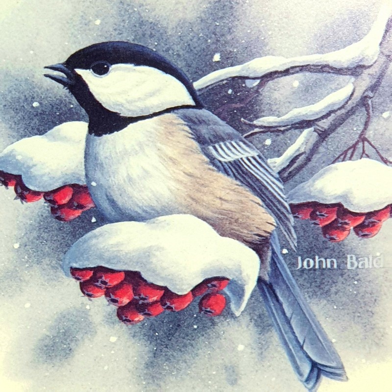 SIGNED LIMITED EDITION Winter Chickadee Print JOHN F BALD 214/650 Matt. / Framed