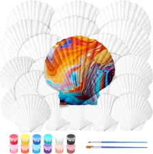 24 Pcs Large Natural Scallop Shells 2''-3'' 4''-5'' White Seashells Bulk for DIY