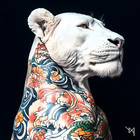 Animal Artwork Lioness Savannah Feline Chinese Tattoo Giclee Canvas Decor