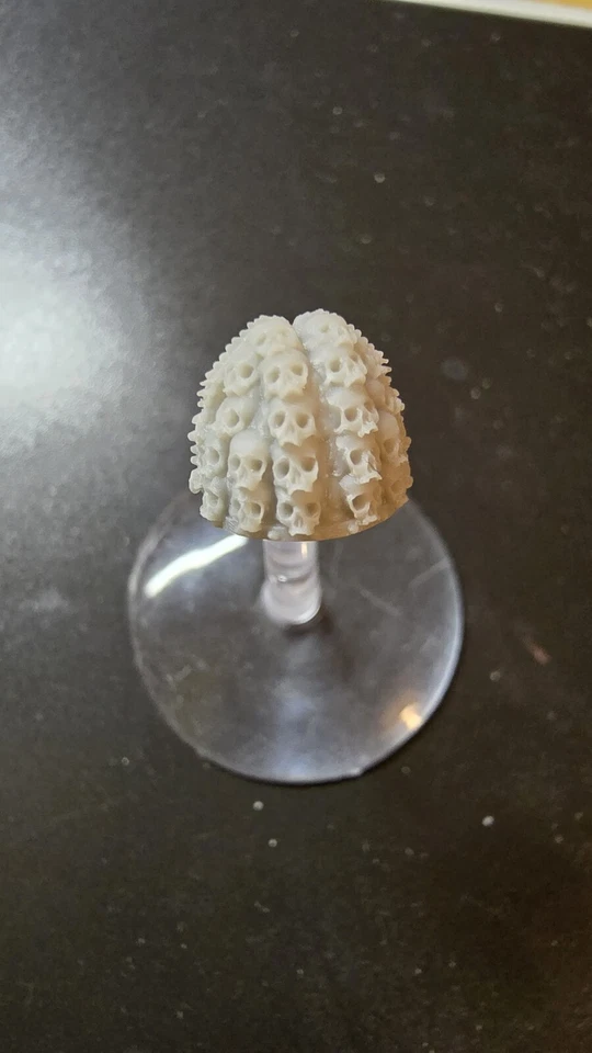 Hombreras alternativas Space Marine Deathwatch Veterans x 5 40k Foto 3 de 3