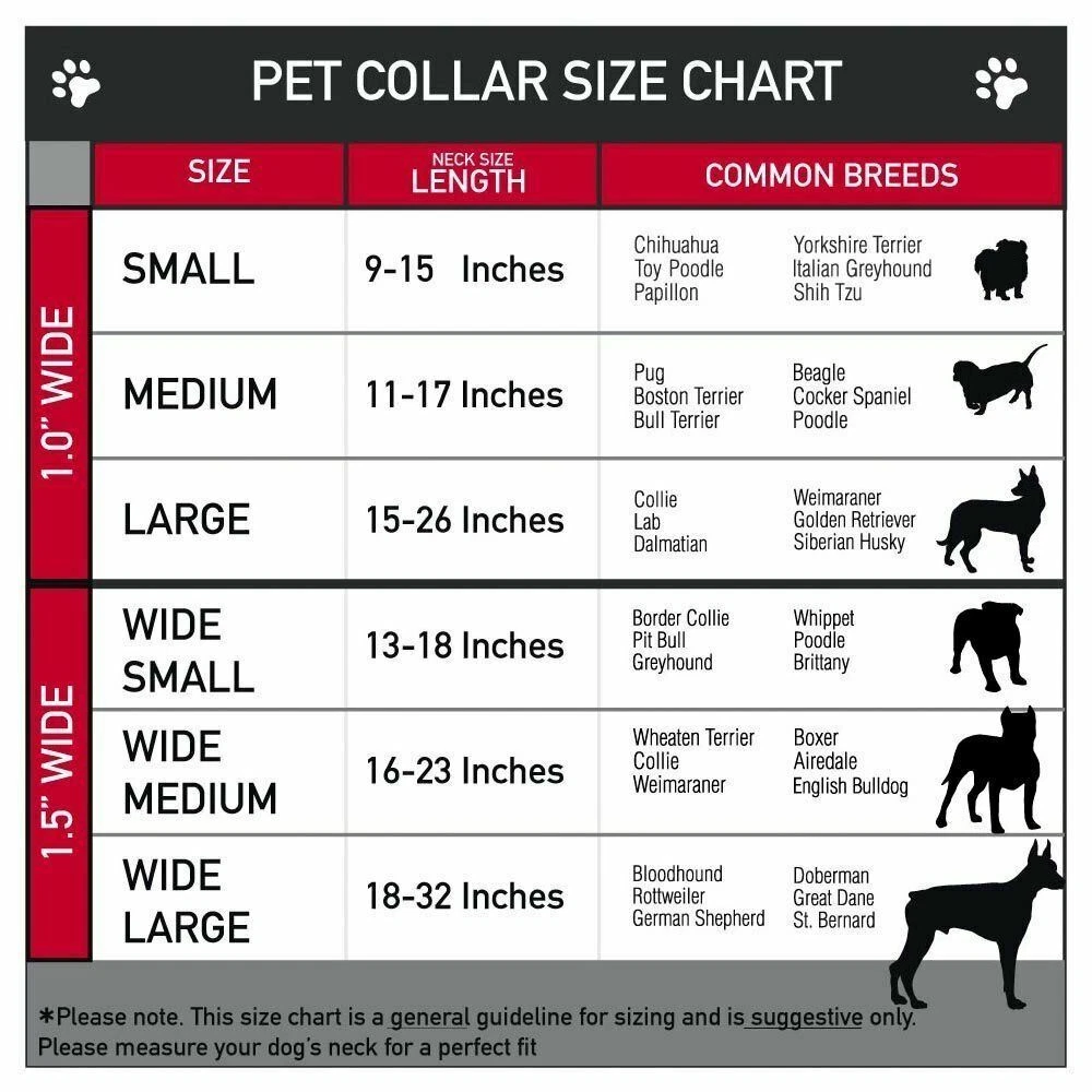 Dodge dog collar 2025