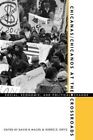 Chicanas/Chicanos at the Crossroads: Social, Economic, and Political Change by David R. Maciel (Paperback, 1996)