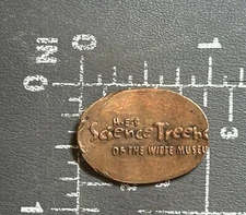 H-E-B Science Treehouse of the Witte Museum San Antonio Elongated Pressed Penny