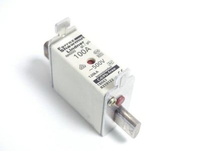 Ferraz Shawmut Lindner NH000 100A Fuse Block gL/gG 500V 120kA
